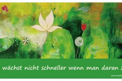 Nr. 62 | Gras waechst