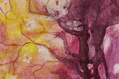 Nr. 18 | Hanami